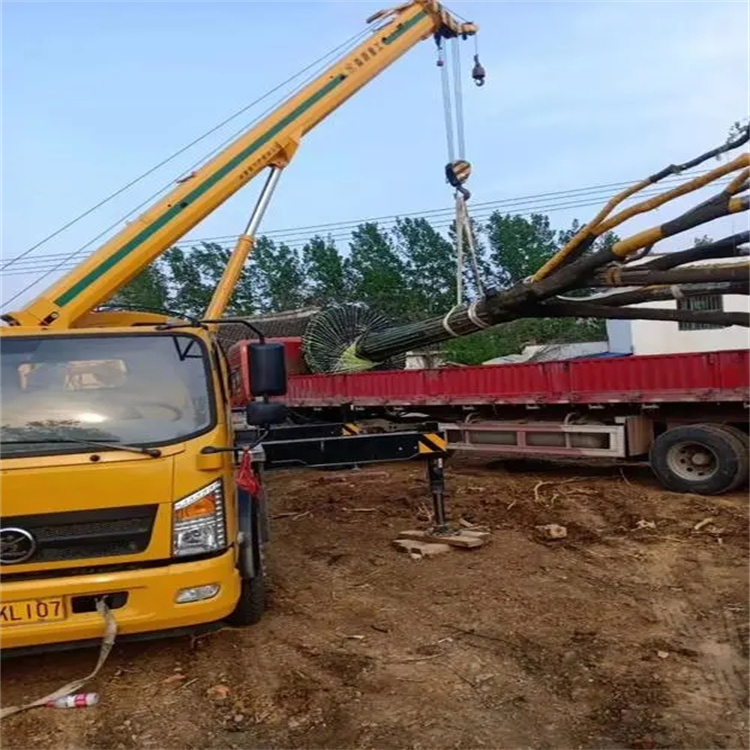 红安100吨吊车租赁费用怎么算？3大关键因素+省钱技巧全解析